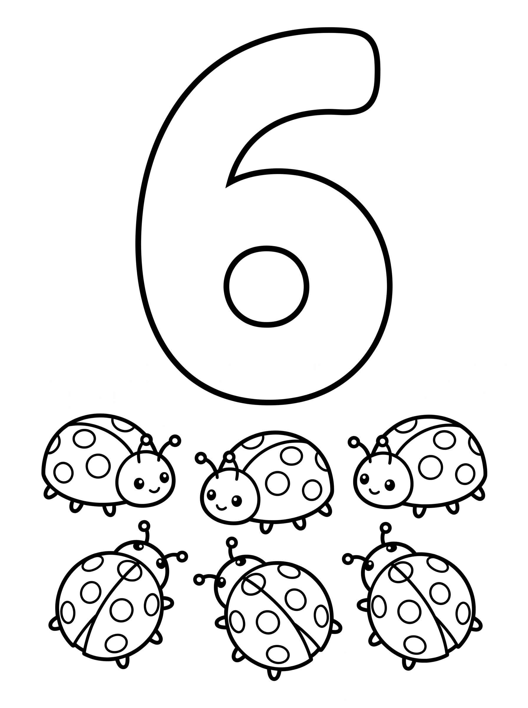6